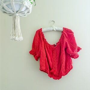 American Eagle Crop Top